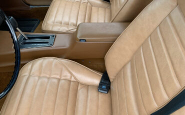 Pontiac-Firebird-1974-Coupe-11