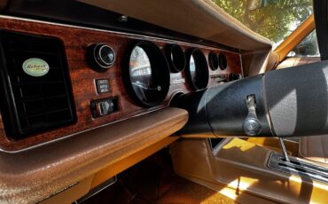 Pontiac-Firebird-1975-Coupe-13
