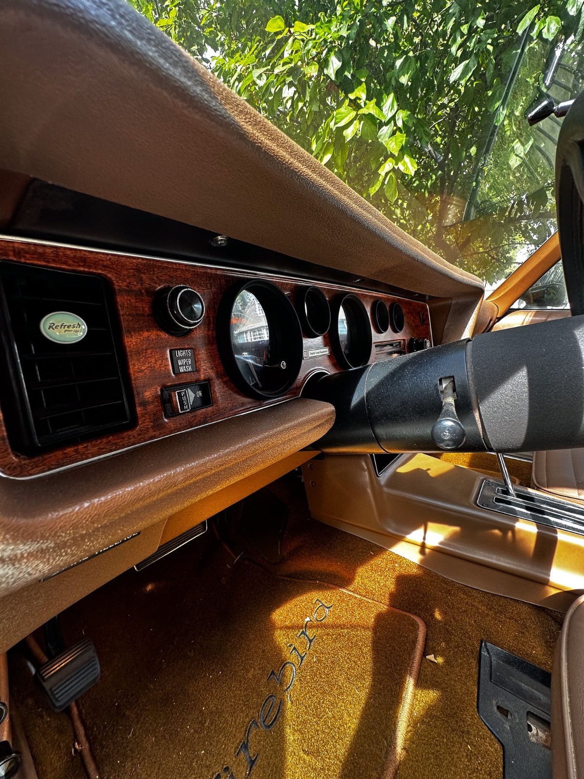 Pontiac-Firebird-1975-Coupe-13