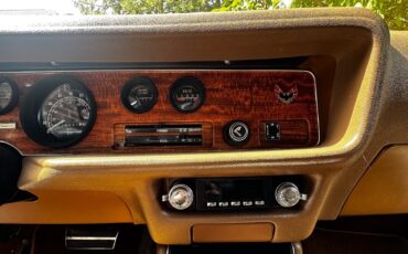 Pontiac-Firebird-1975-Coupe-14