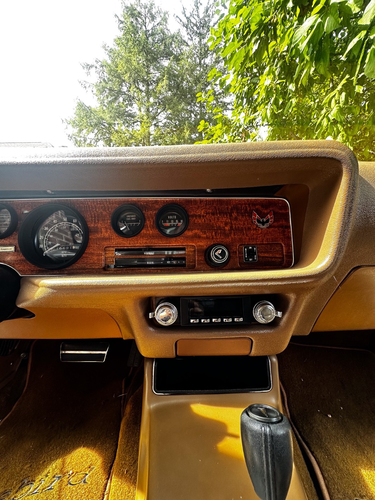 Pontiac-Firebird-1975-Coupe-14
