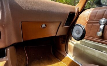 Pontiac-Firebird-1975-Coupe-15