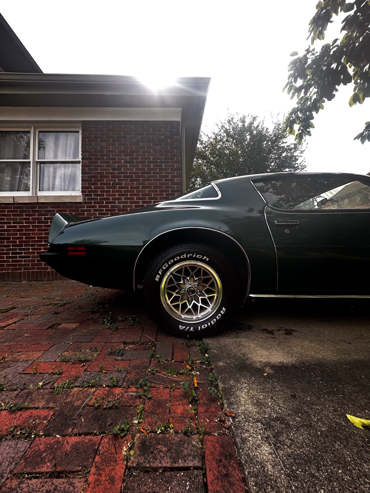 Pontiac-Firebird-1975-Coupe-19