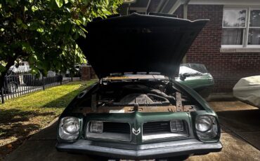 Pontiac-Firebird-1975-Coupe-23