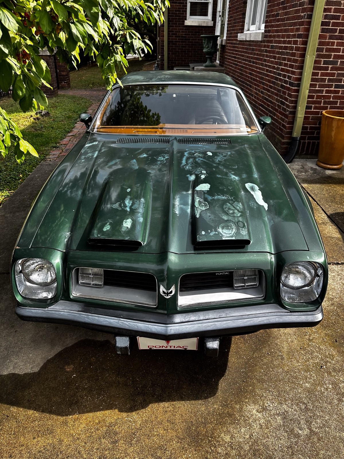 Pontiac-Firebird-1975-Coupe-3