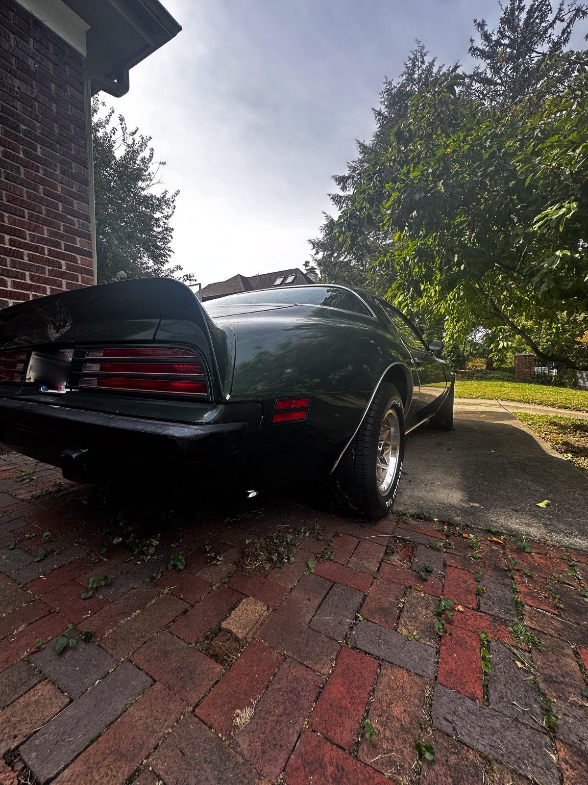 Pontiac-Firebird-1975-Coupe-5