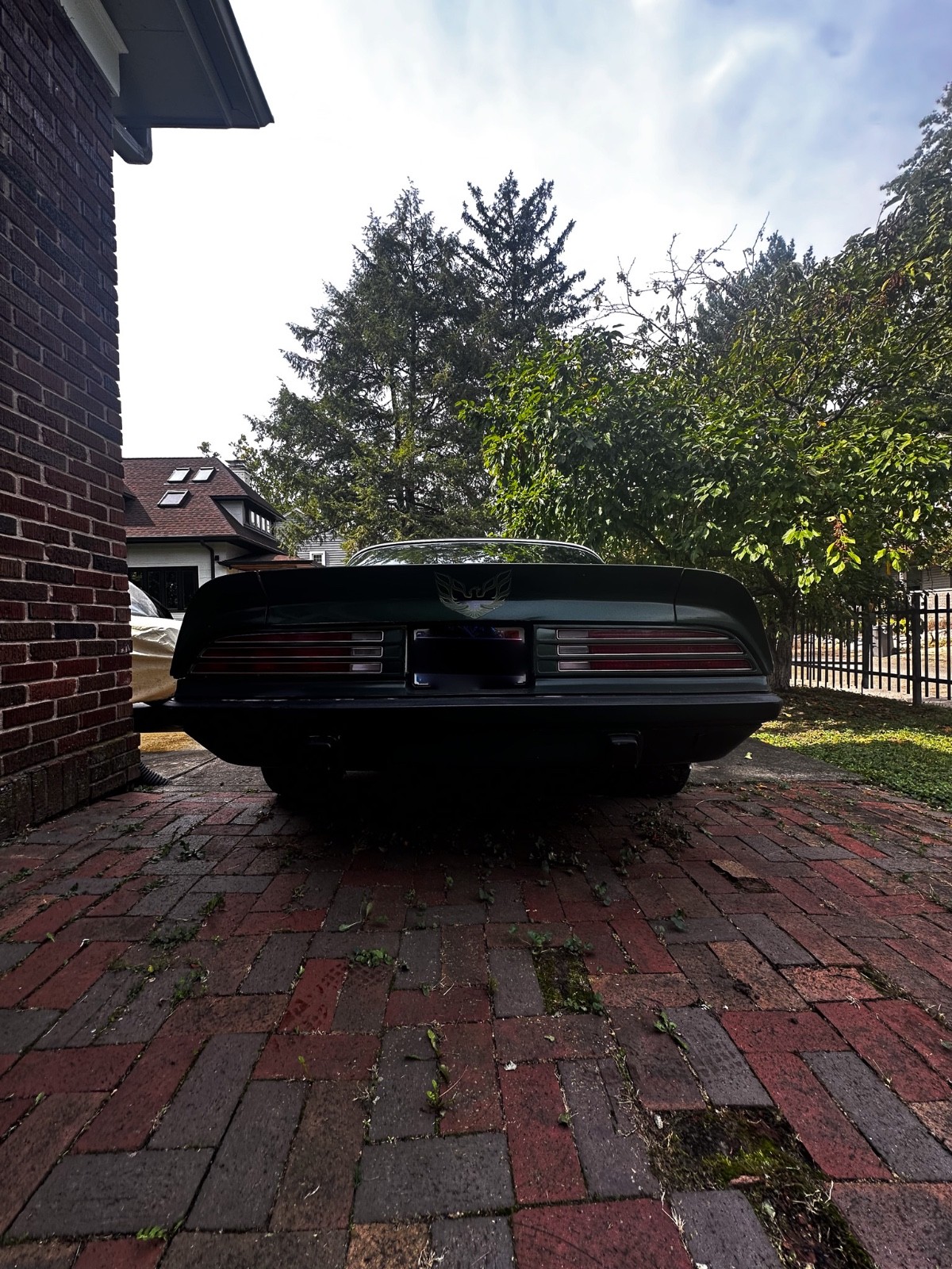 Pontiac-Firebird-1975-Coupe-6