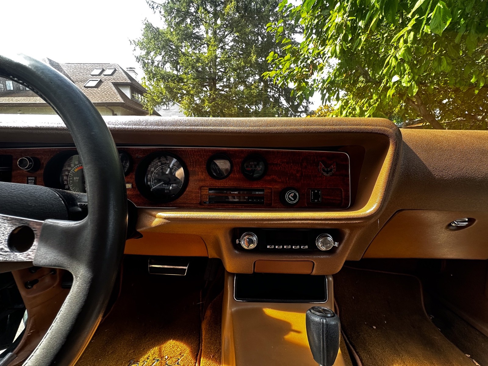 Pontiac-Firebird-1975-Coupe-9