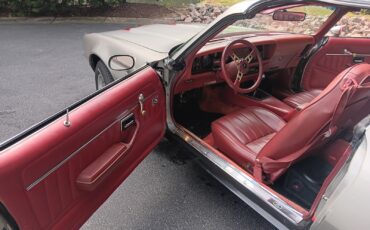 Pontiac-Firebird-1978-Coupe-11