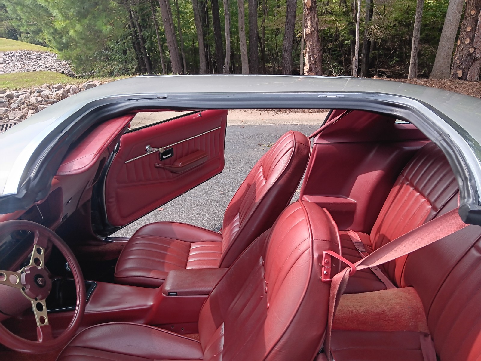 Pontiac-Firebird-1978-Coupe-12