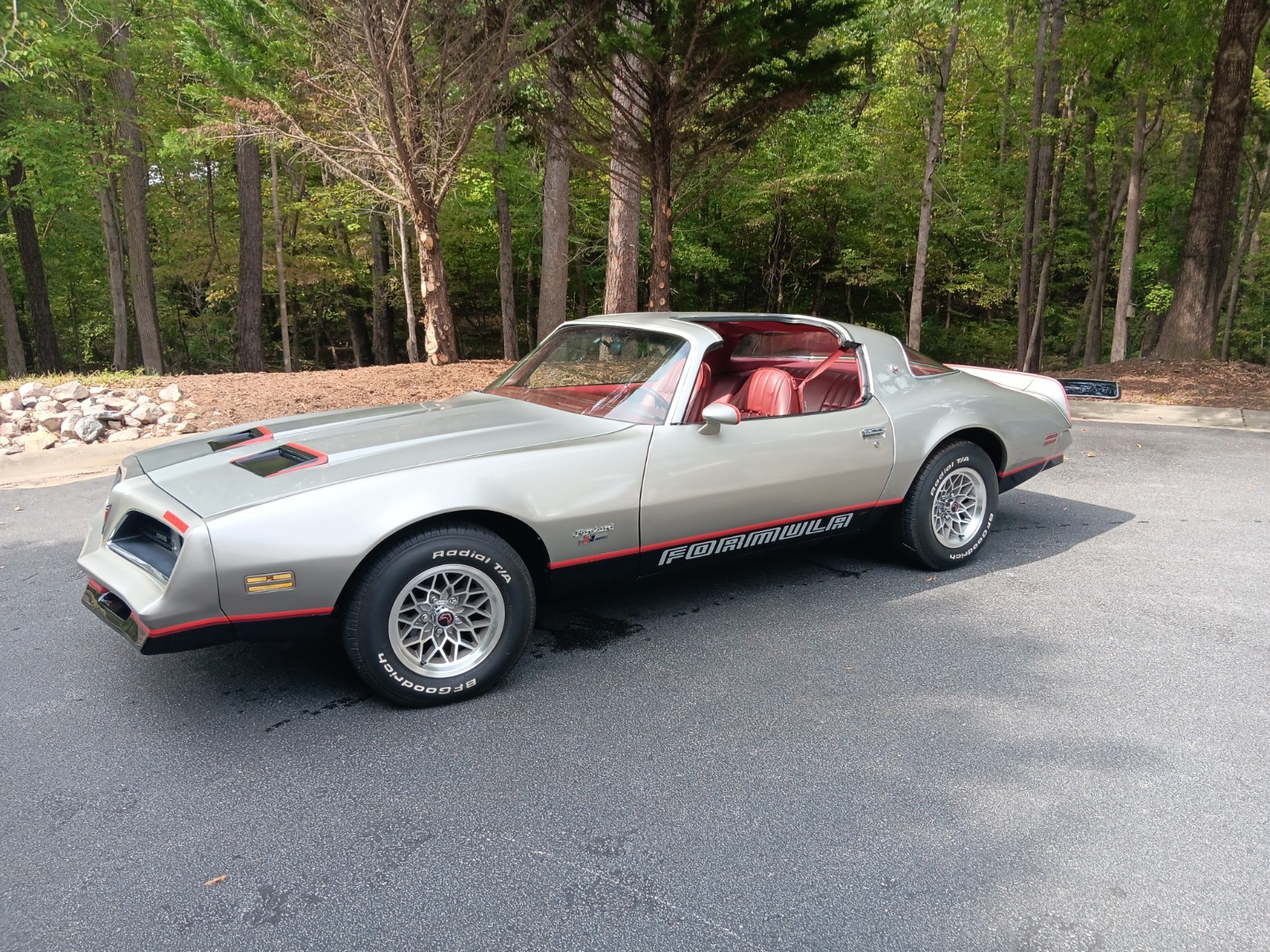 Pontiac-Firebird-1978-Coupe-2