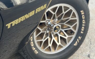 Pontiac-Firebird-1979-Black-Camel-Tan-2