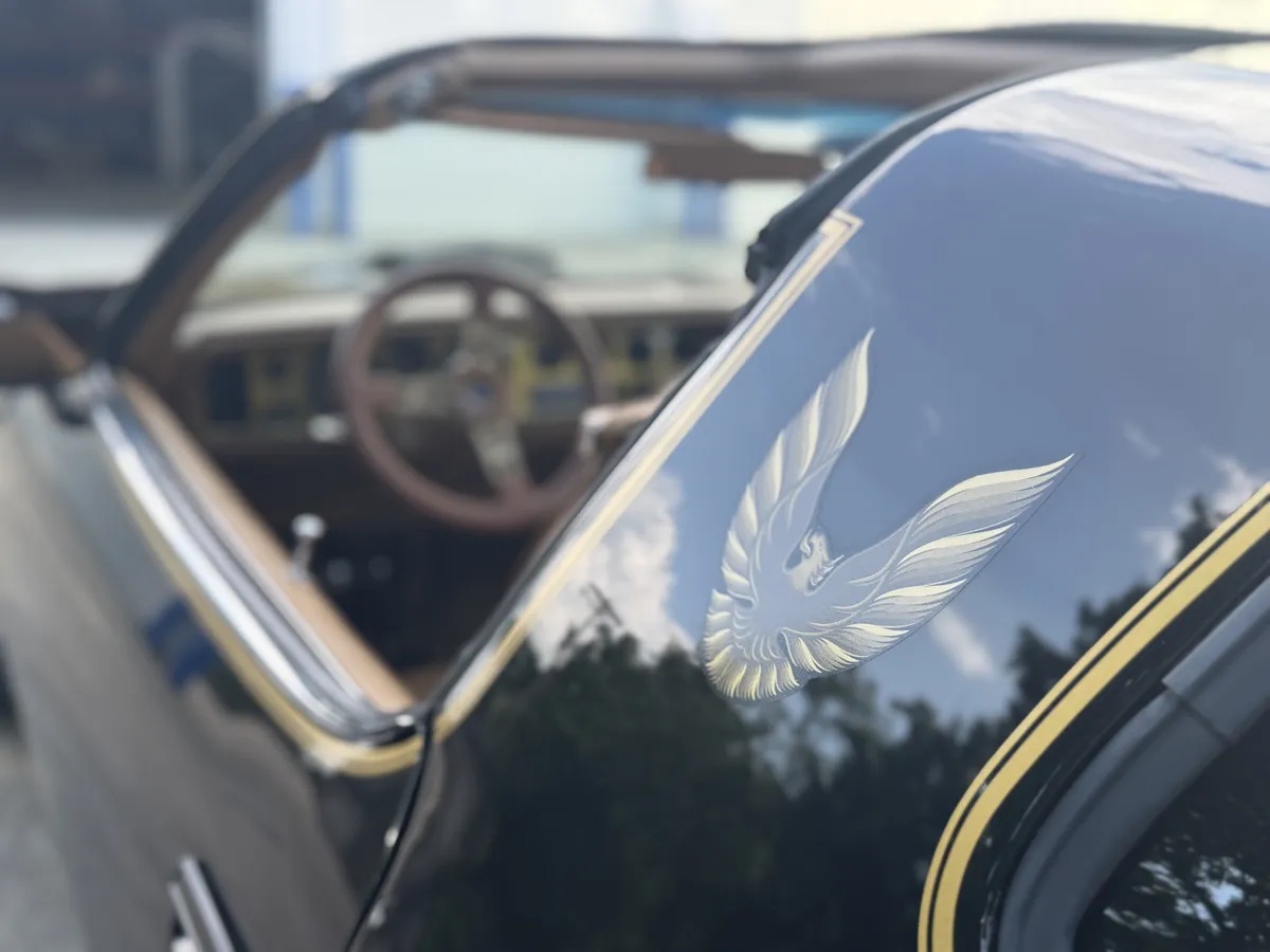 Pontiac-Firebird-1979-Black-Camel-Tan-4