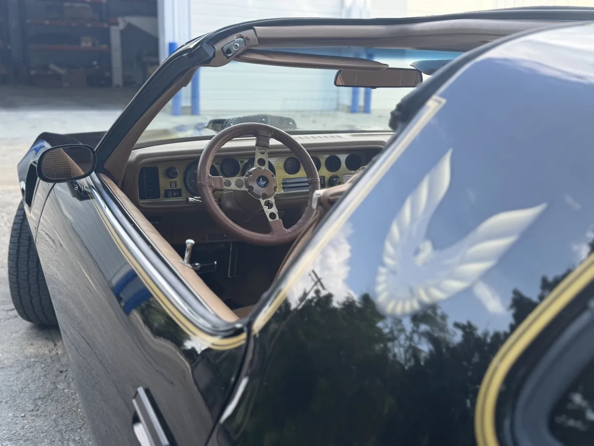 Pontiac-Firebird-1979-Black-Camel-Tan-5