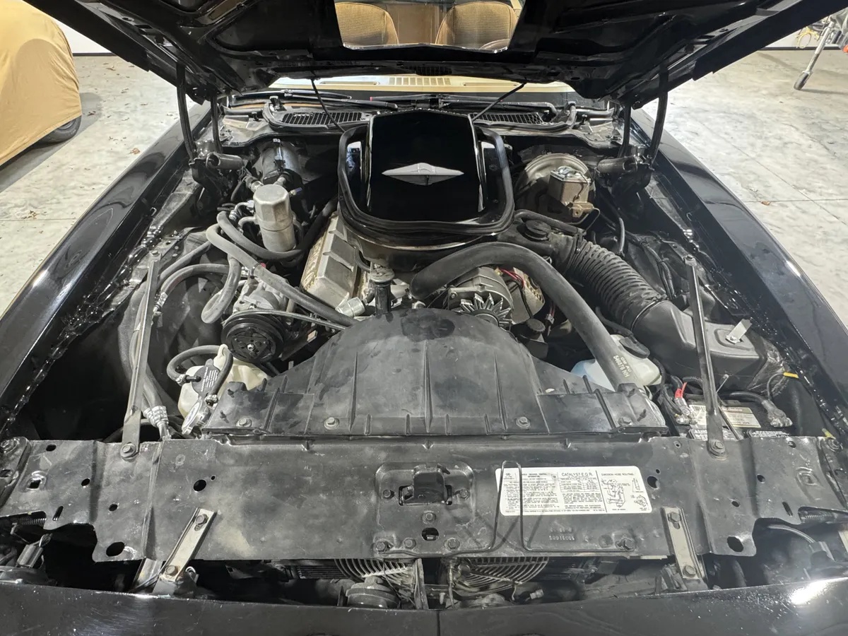 Pontiac-Firebird-1979-Black-Camel-Tan-6