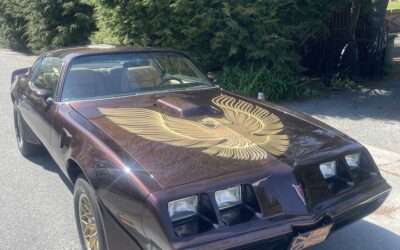 Pontiac Firebird 1981