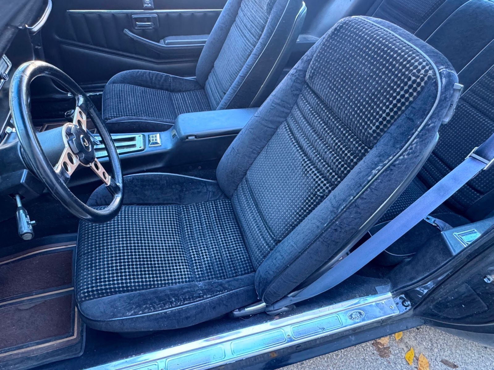 Pontiac-Firebird-1981-Coupe-11
