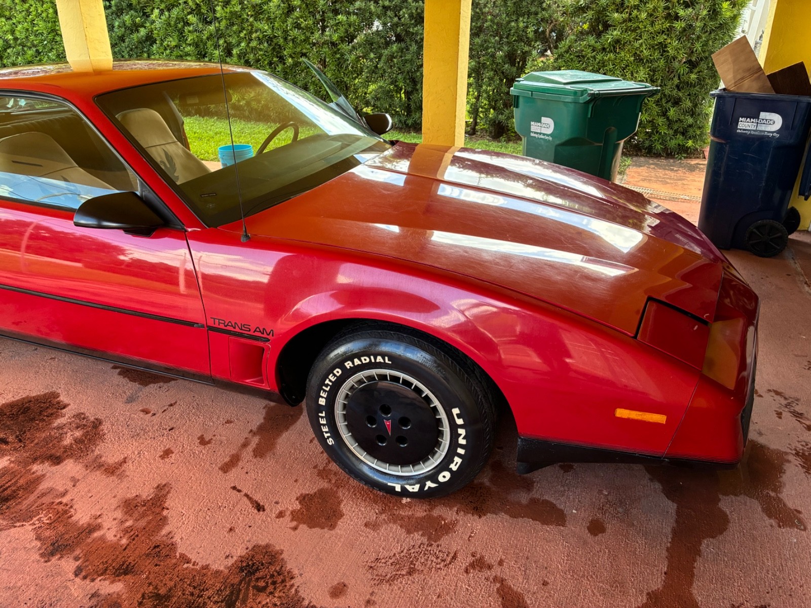 Pontiac-Firebird-1982-Coupe-15