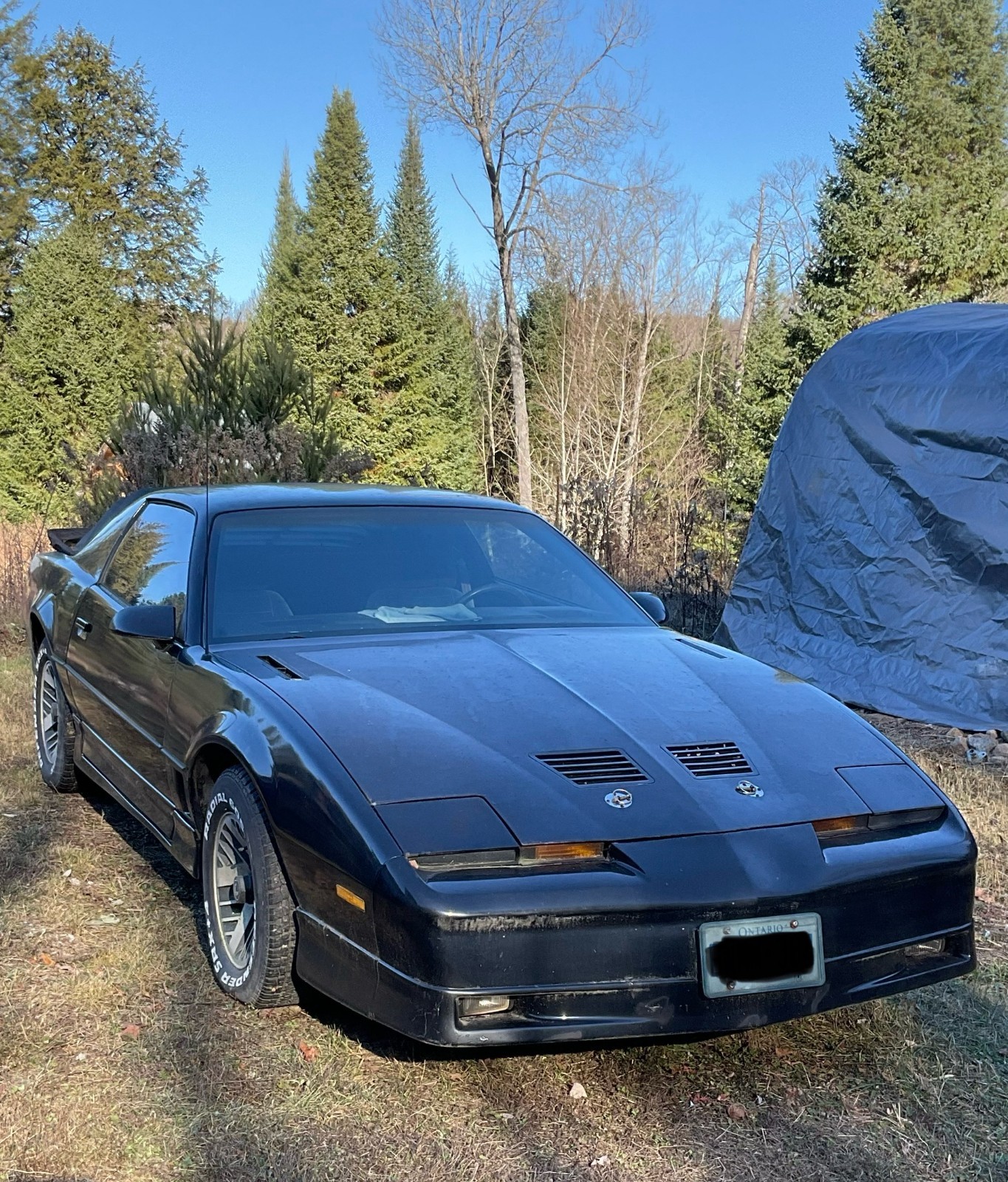 Pontiac-Firebird-1986-1