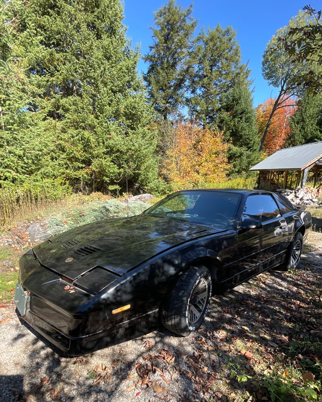 Pontiac-Firebird-1986-2
