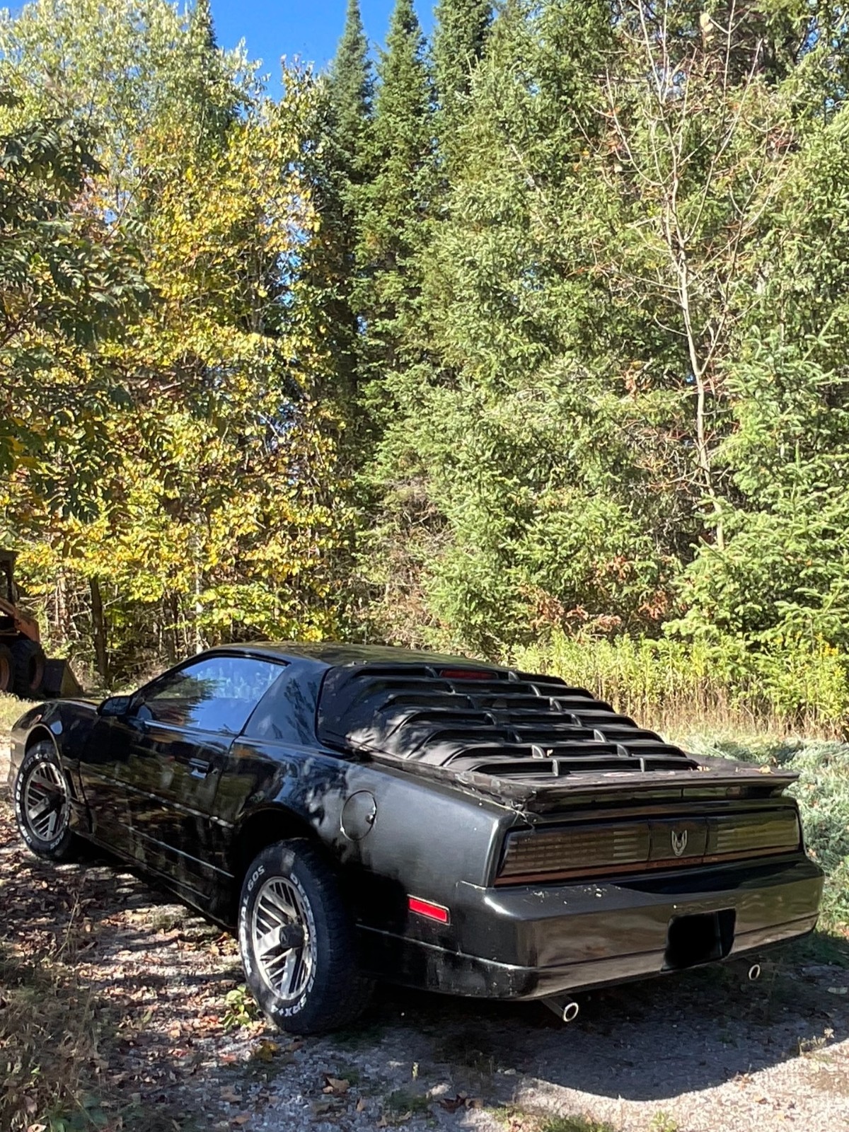 Pontiac-Firebird-1986-4