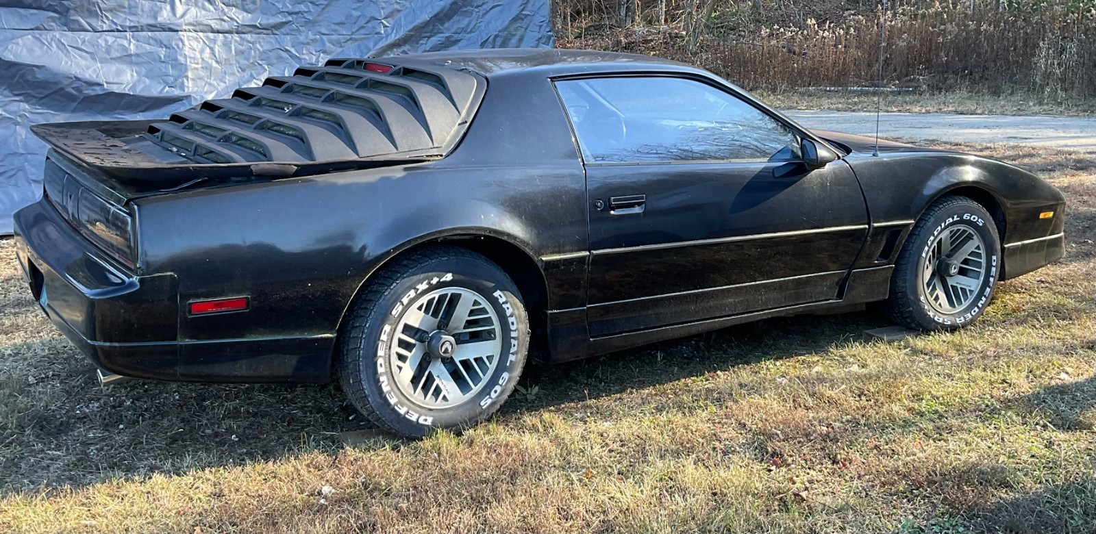 Pontiac-Firebird-1986-5