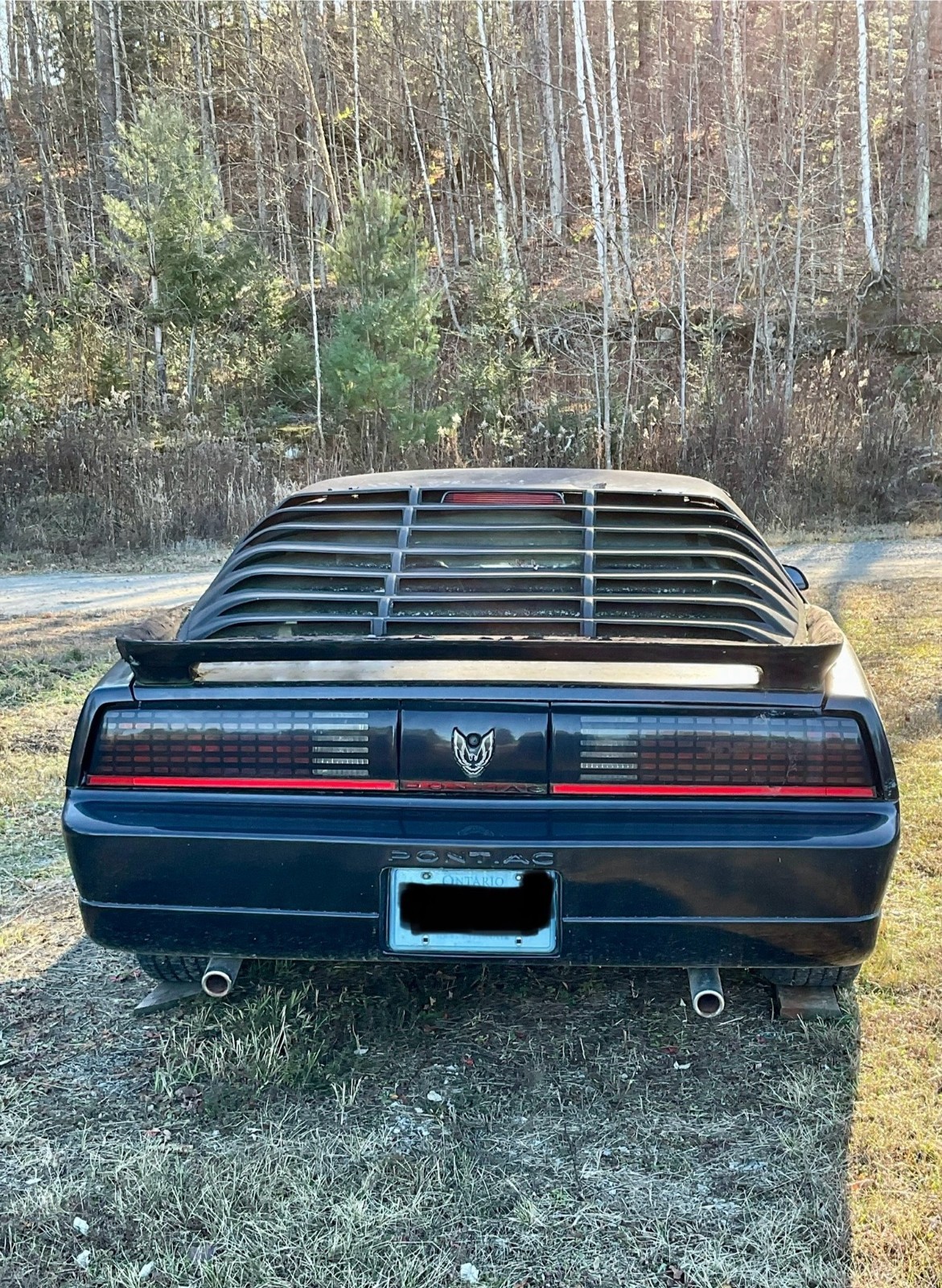 Pontiac-Firebird-1986-6