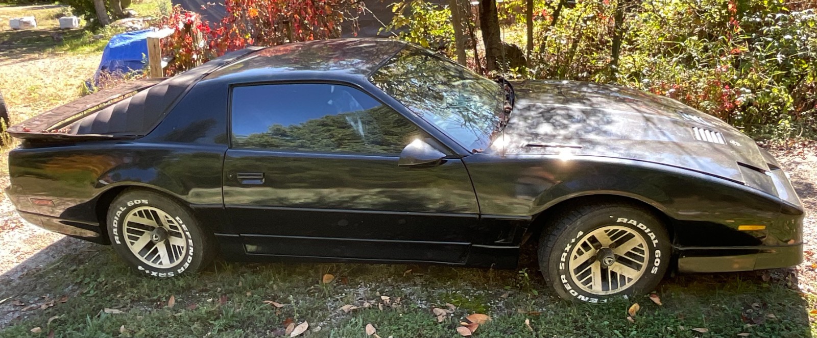 Pontiac-Firebird-1986
