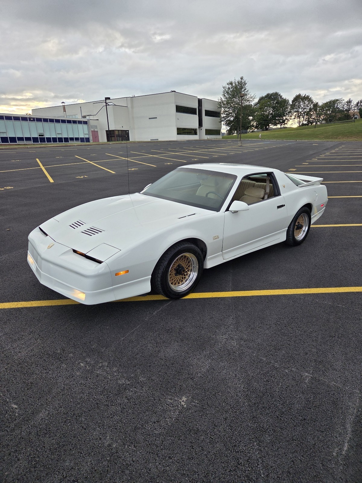 Pontiac Firebird 1987