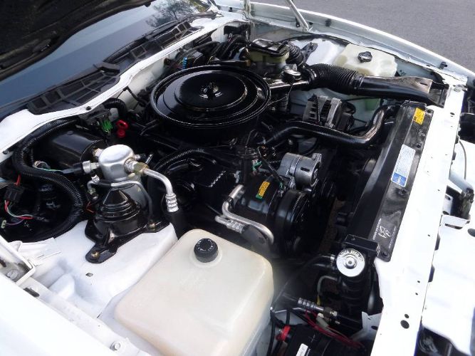Pontiac-Firebird-1992-White-1