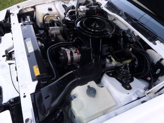 Pontiac-Firebird-1992-White-2