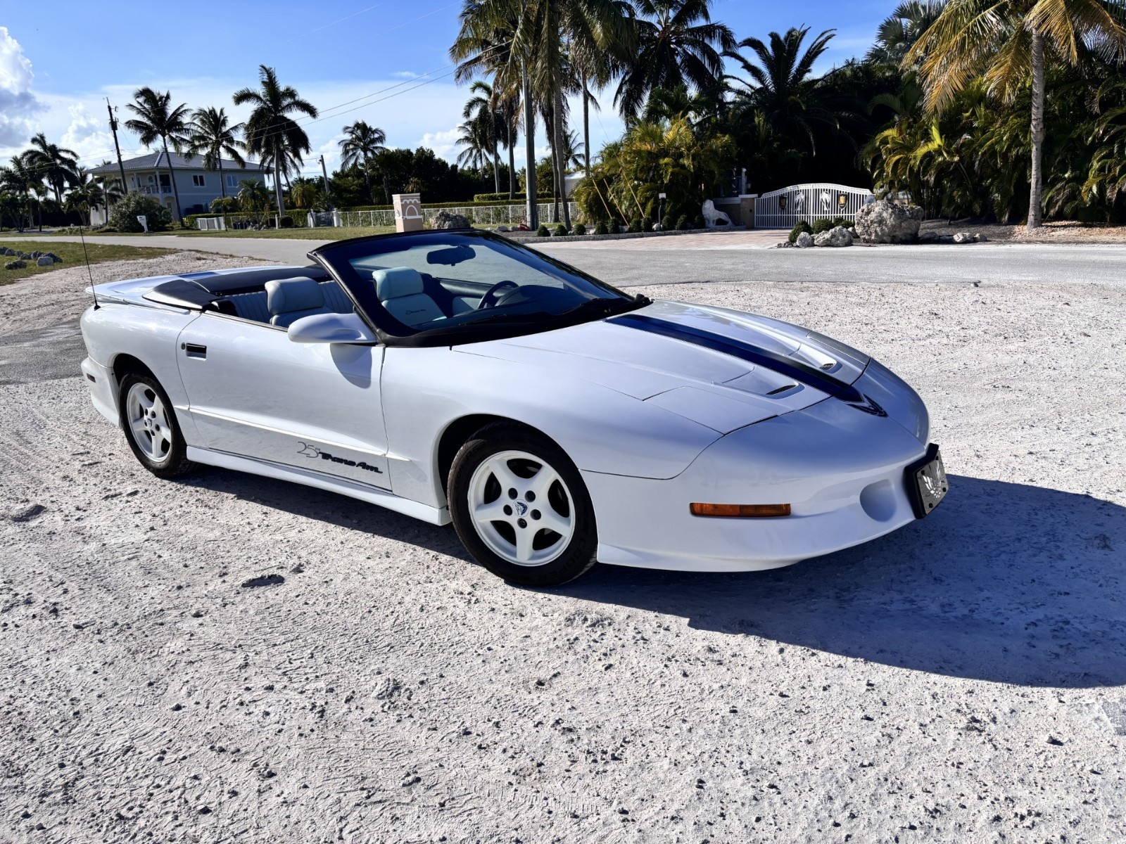 Pontiac-Firebird-1994-Convertible-2