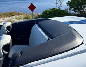 Pontiac-Firebird-1994-Convertible-8
