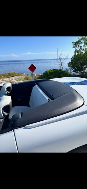 Pontiac-Firebird-1994-Convertible-8