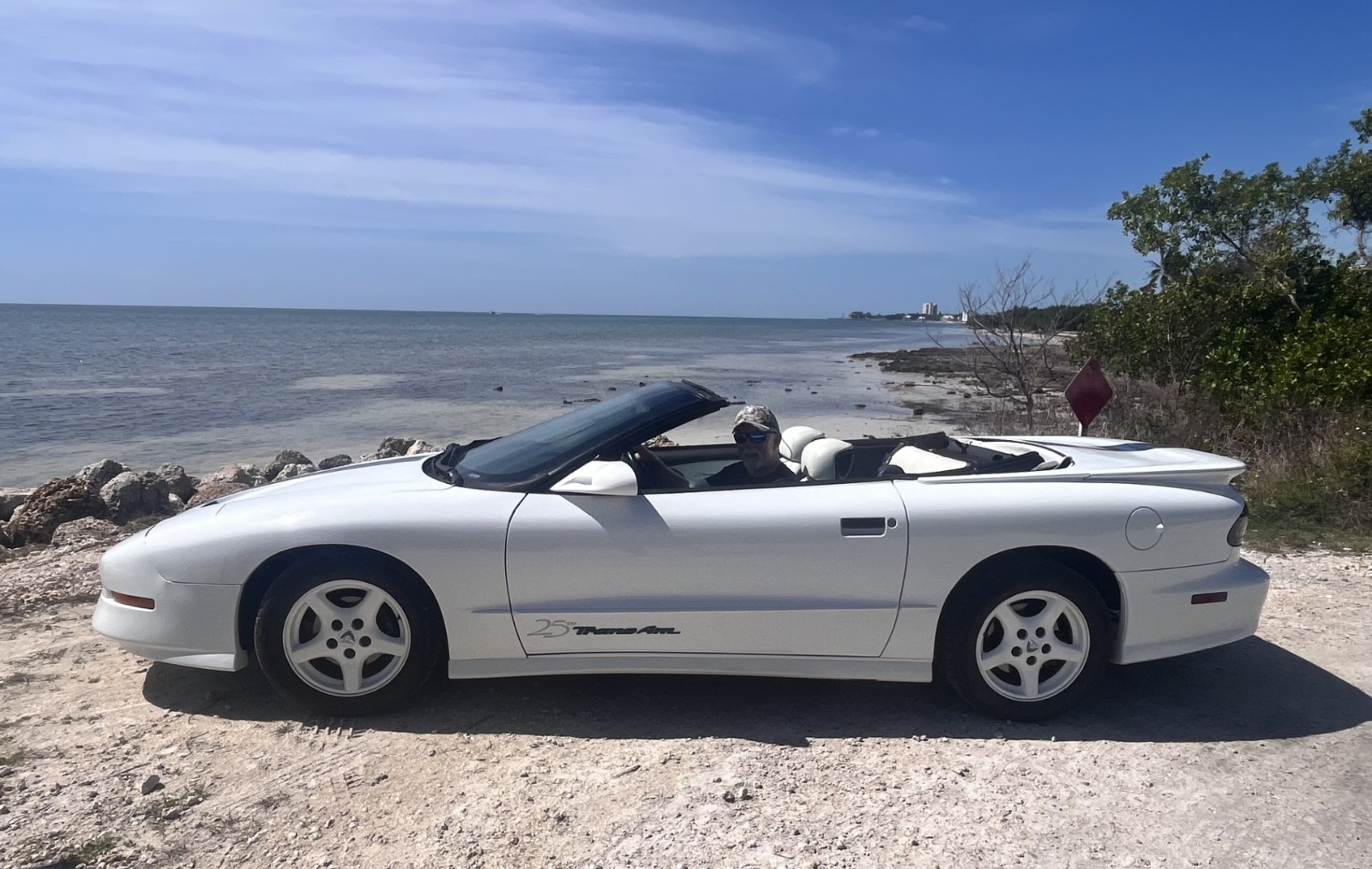 Pontiac-Firebird-1994-Convertible