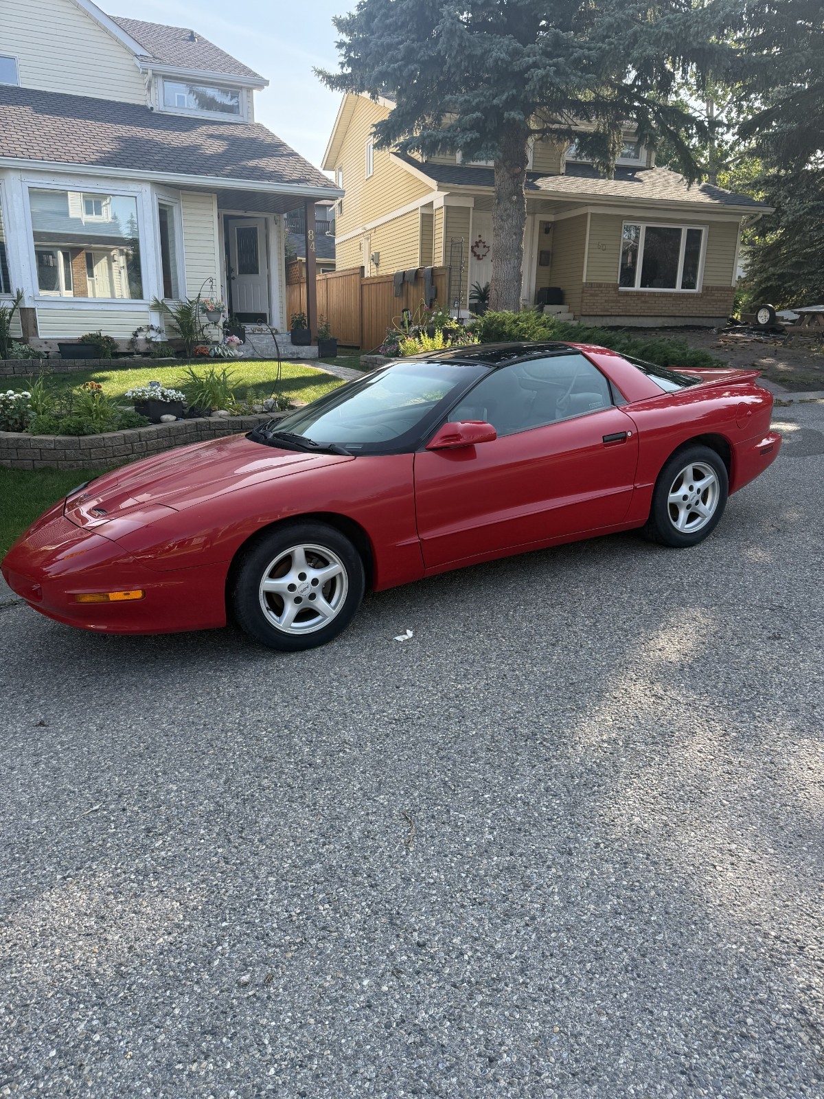 Pontiac Firebird 1995 Coupe