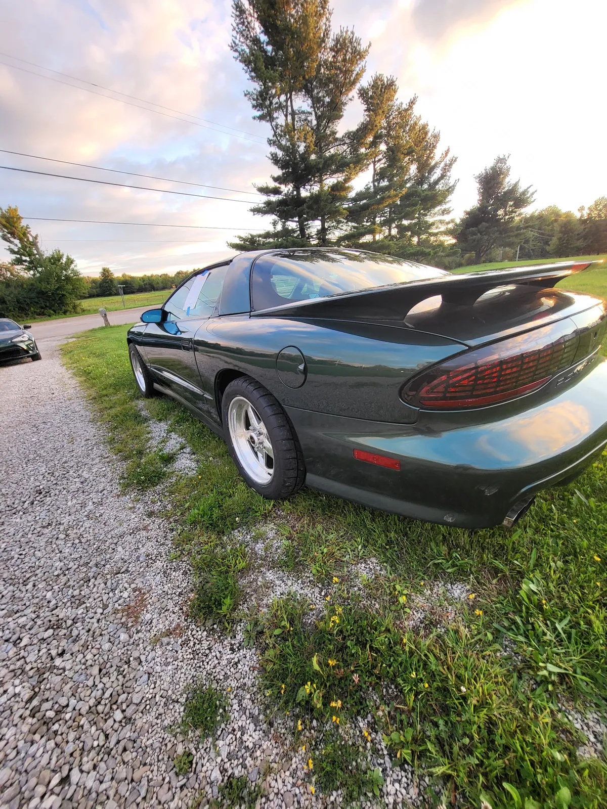 Pontiac-Firebird-1995-Metallic-Forest-Green-Grey-1