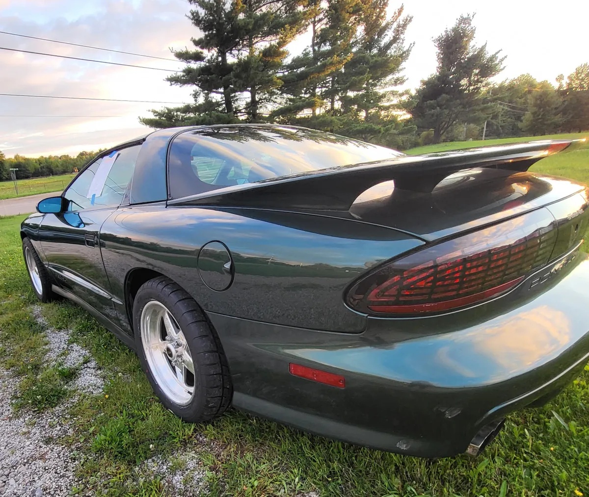 Pontiac-Firebird-1995-Metallic-Forest-Green-Grey-10