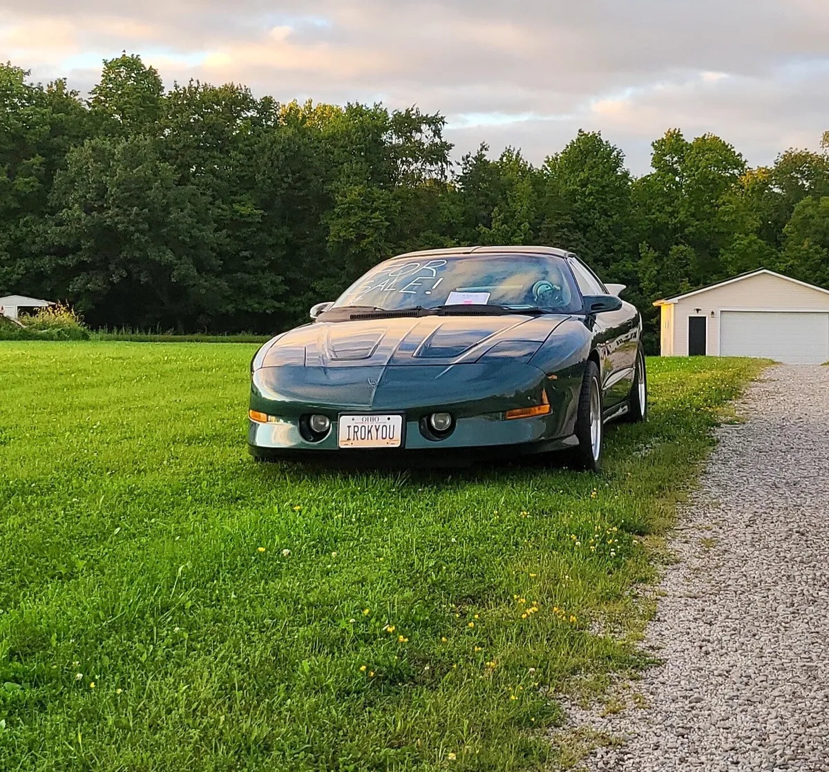 Pontiac-Firebird-1995-Metallic-Forest-Green-Grey-15