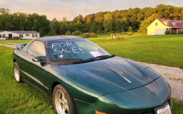 Pontiac-Firebird-1995-Metallic-Forest-Green-Grey-16