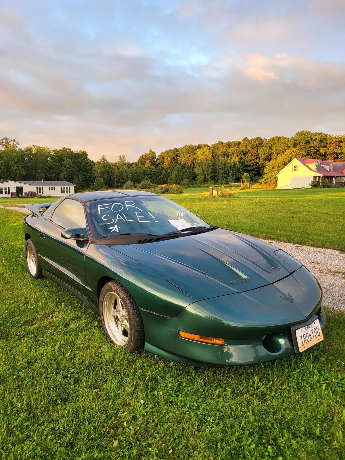 Pontiac-Firebird-1995-Metallic-Forest-Green-Grey-16