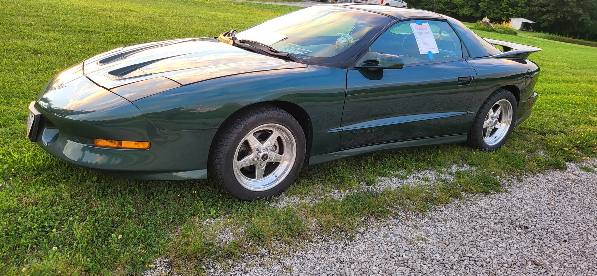 Pontiac-Firebird-1995-Metallic-Forest-Green-Grey-17