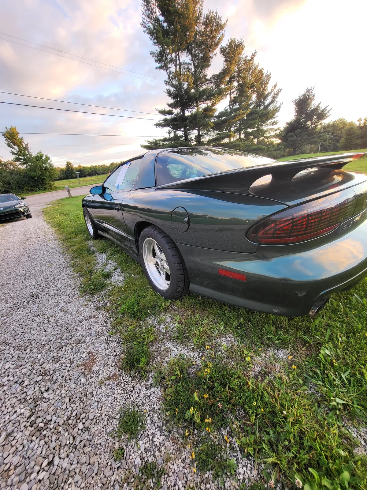 Pontiac-Firebird-1995-Metallic-Forest-Green-Grey-18
