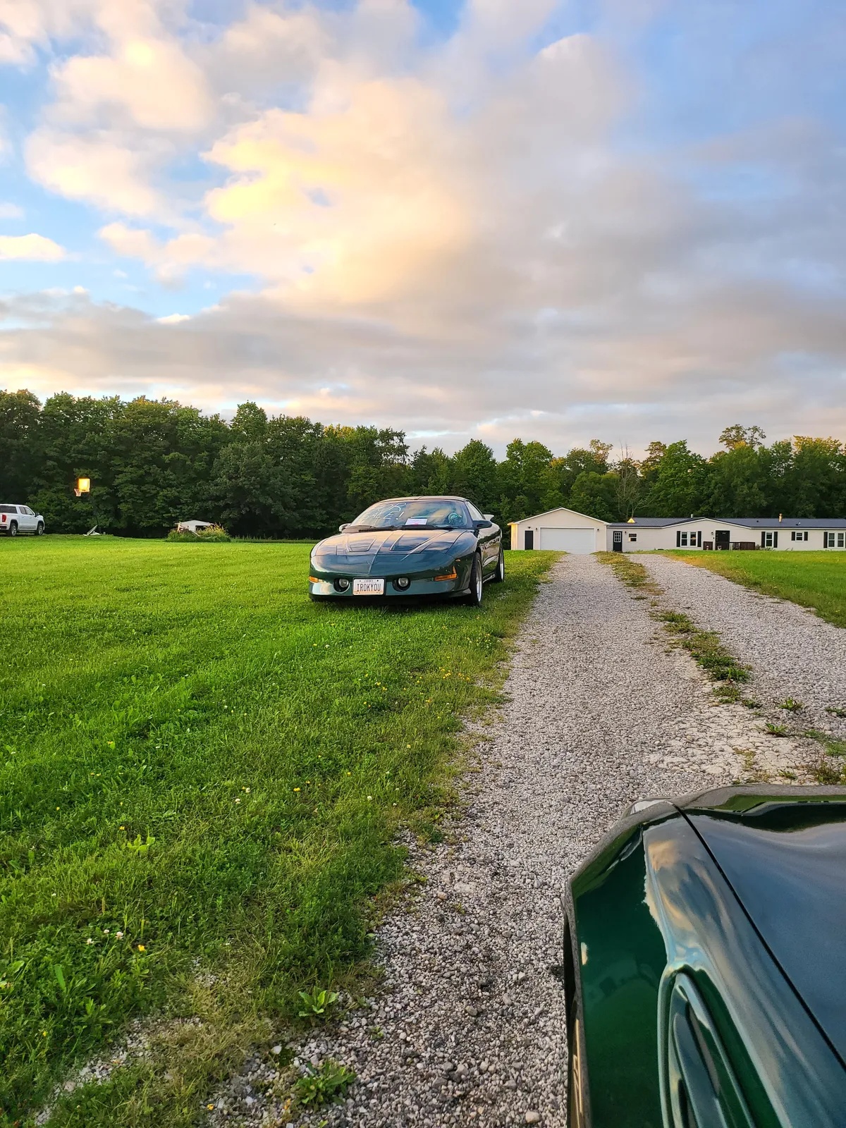 Pontiac-Firebird-1995-Metallic-Forest-Green-Grey-2