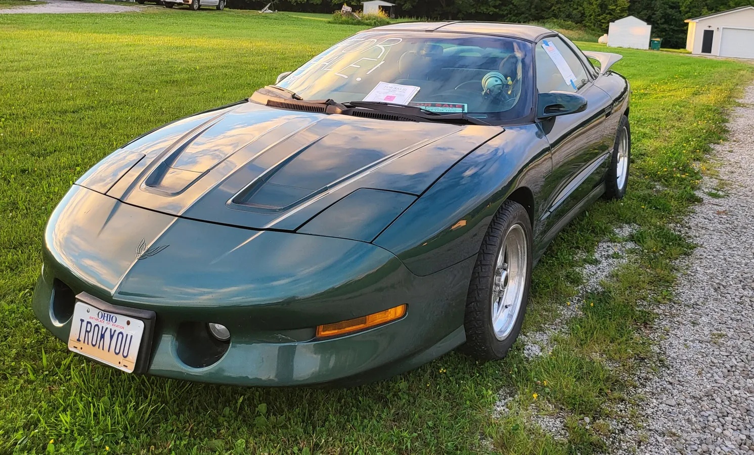 Pontiac-Firebird-1995-Metallic-Forest-Green-Grey-5
