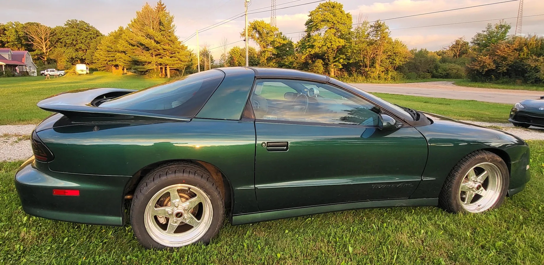 Pontiac-Firebird-1995-Metallic-Forest-Green-Grey-6