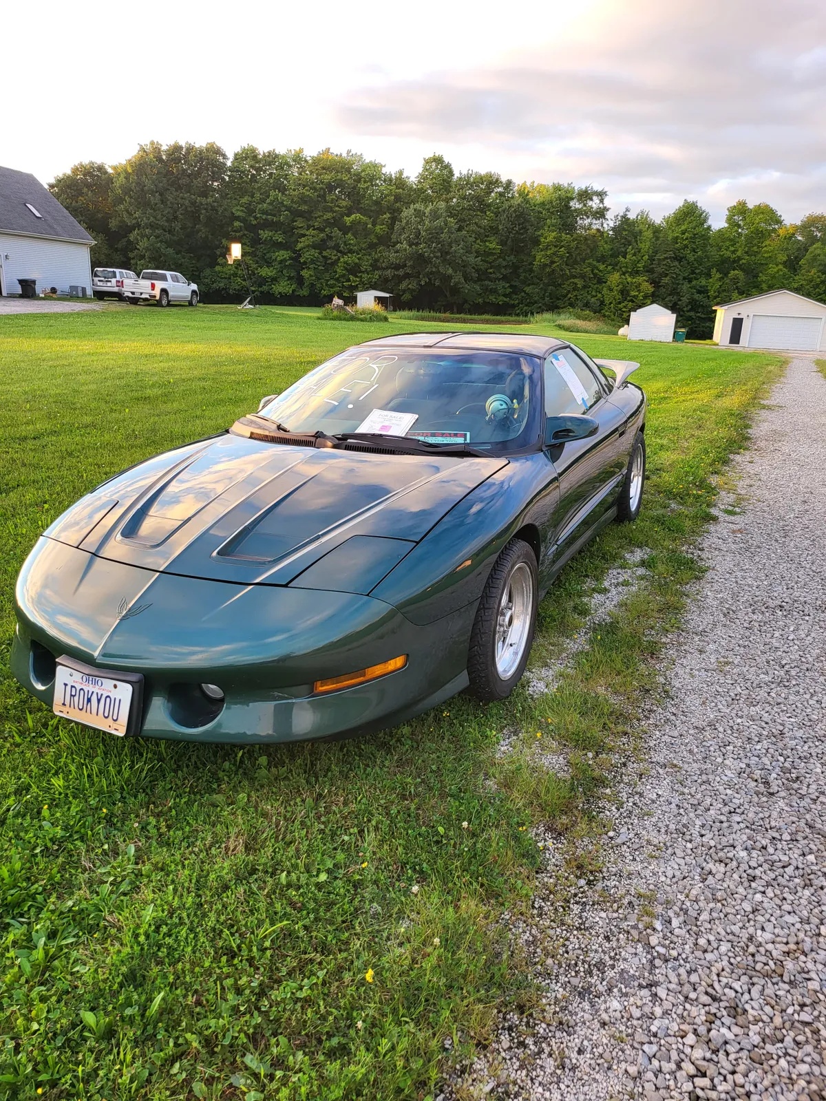 Pontiac-Firebird-1995-Metallic-Forest-Green-Grey-8