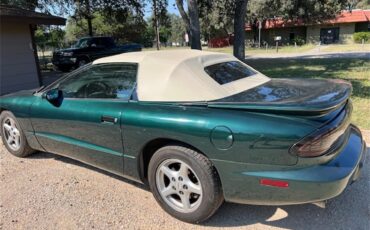 Pontiac-Firebird-formula-1995-Dark-greenbeige-top-Beige-2