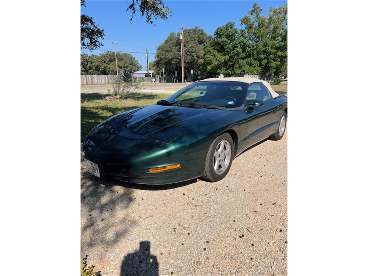 Pontiac-Firebird-formula-1995-Dark-greenbeige-top-Beige