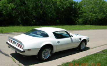 Pontiac-Firebird-trans-am-1975-White-baby-blue-5